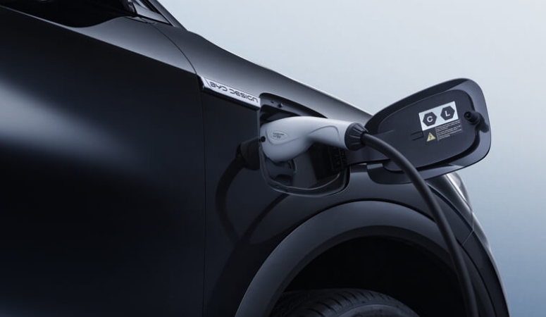 Hơn Thế Nữa Cửa cốp điều khiển một chạm với cảnh báo và phanh khi gặp chướng ngại vật phía sau. Gương chiếu hậu bên điện, có chức năng sưởi ấm, điều chỉnh và gập lại được. Chế độ Cắm trại mới cho phép sử dụng điều hòa khi xe đang tắt và pin còn trên 20% dung lượng.