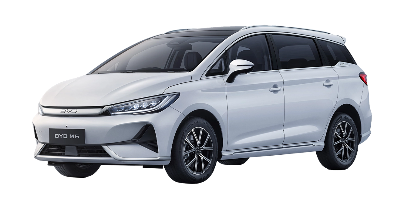 BYD M6