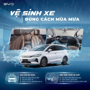 Byd biên hòa